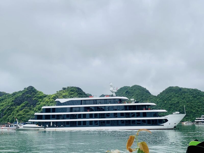 Du Thuyền Venus Hạ Long