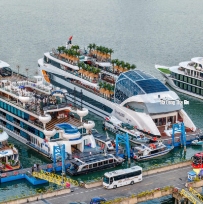 Siêu Du Thuyền Dolphin Hạ Long