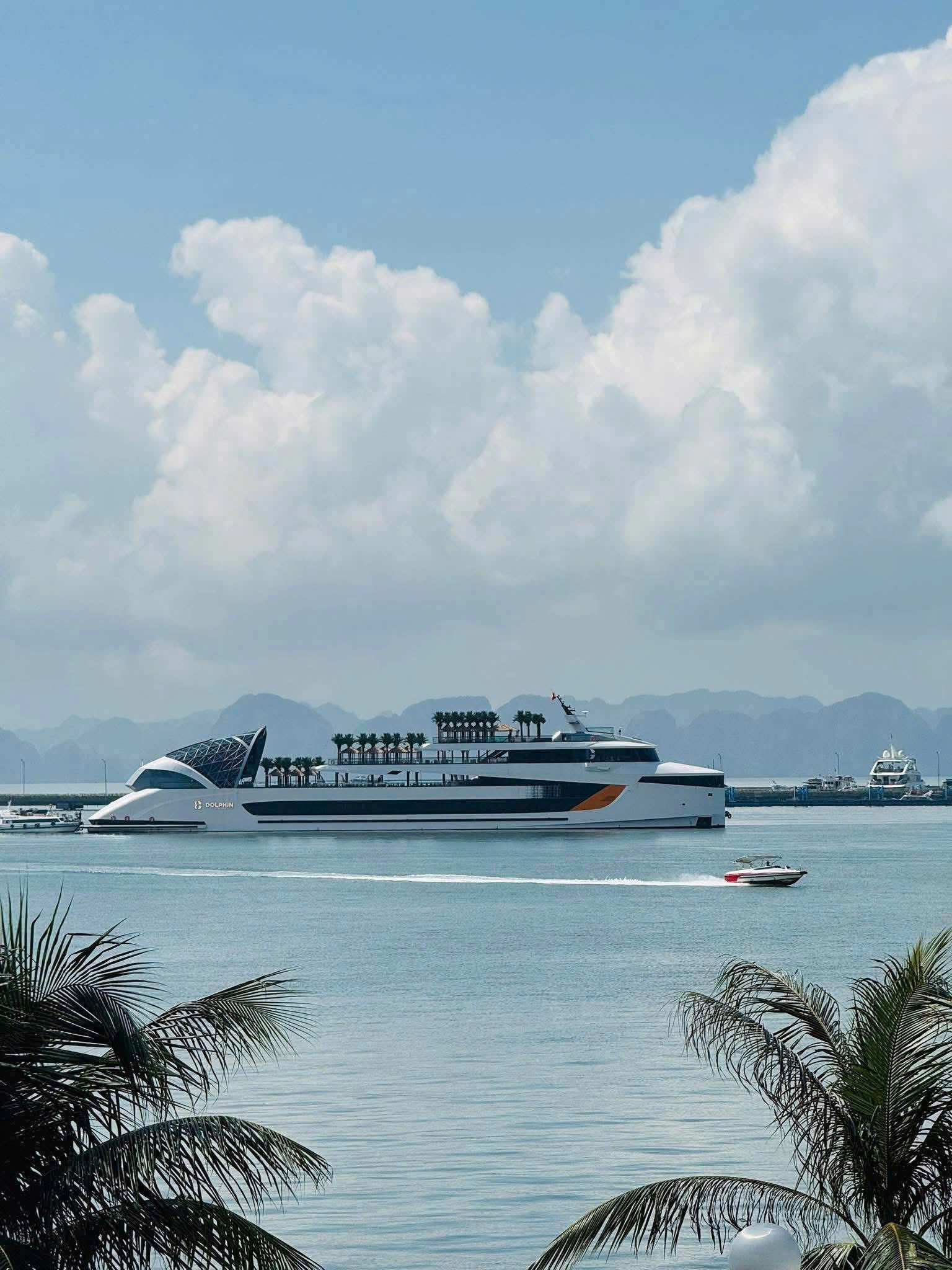 Siêu Du Thuyền Dolphin Hạ Long Siêu Du Thuyền Dolphin Hạ Long